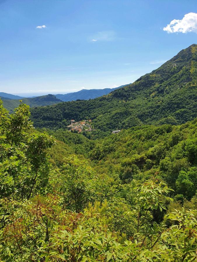Il Bosco Di Campo Marzano Garden Apartments Borzonasca Ngoại thất bức ảnh