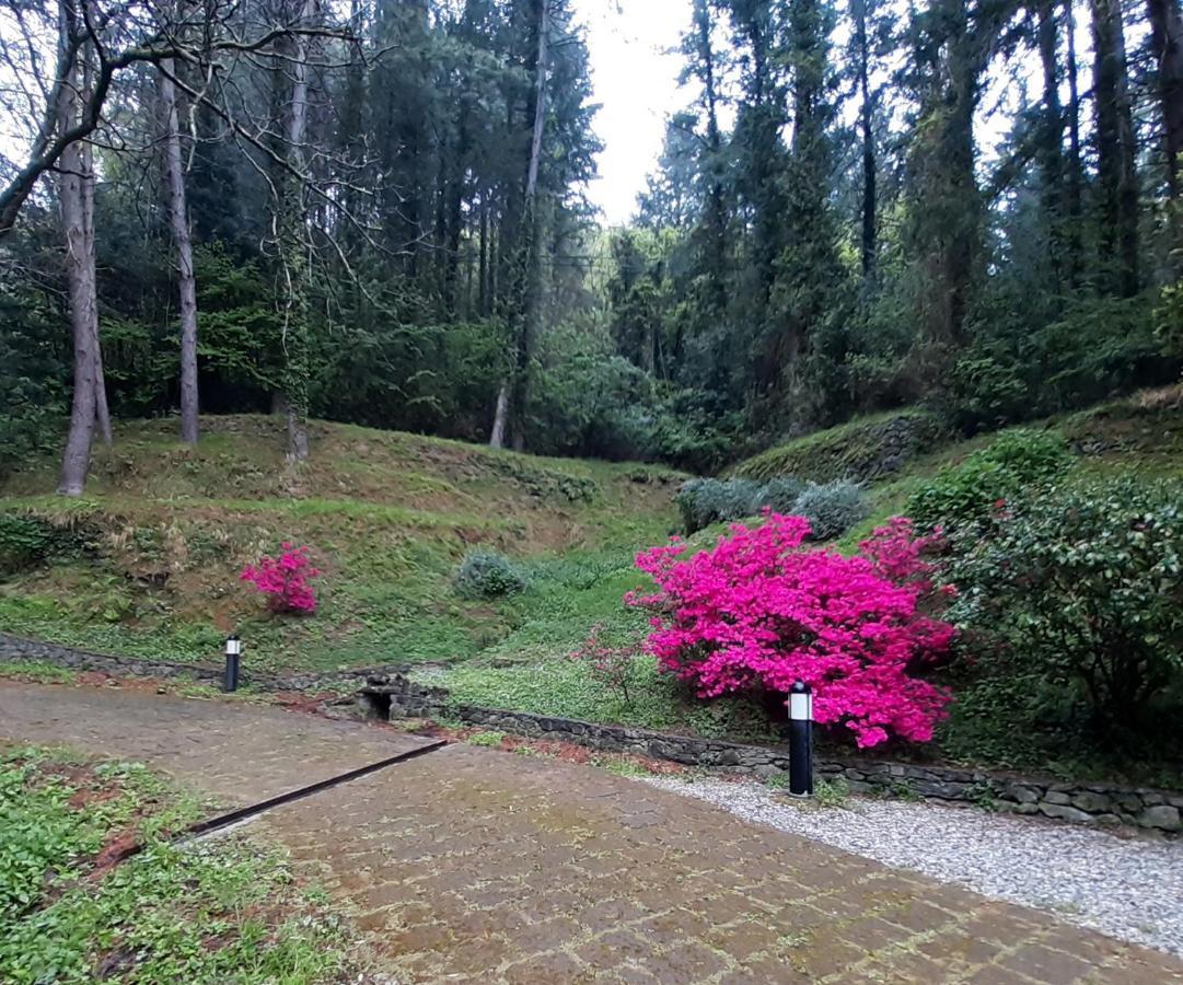 Il Bosco Di Campo Marzano Garden Apartments Borzonasca Ngoại thất bức ảnh