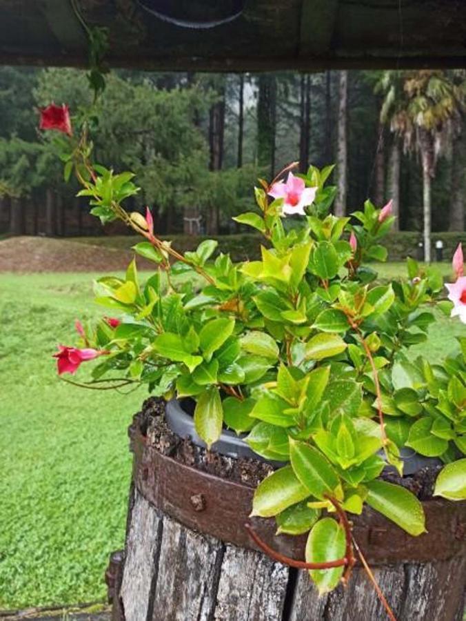 Il Bosco Di Campo Marzano Garden Apartments Borzonasca Ngoại thất bức ảnh