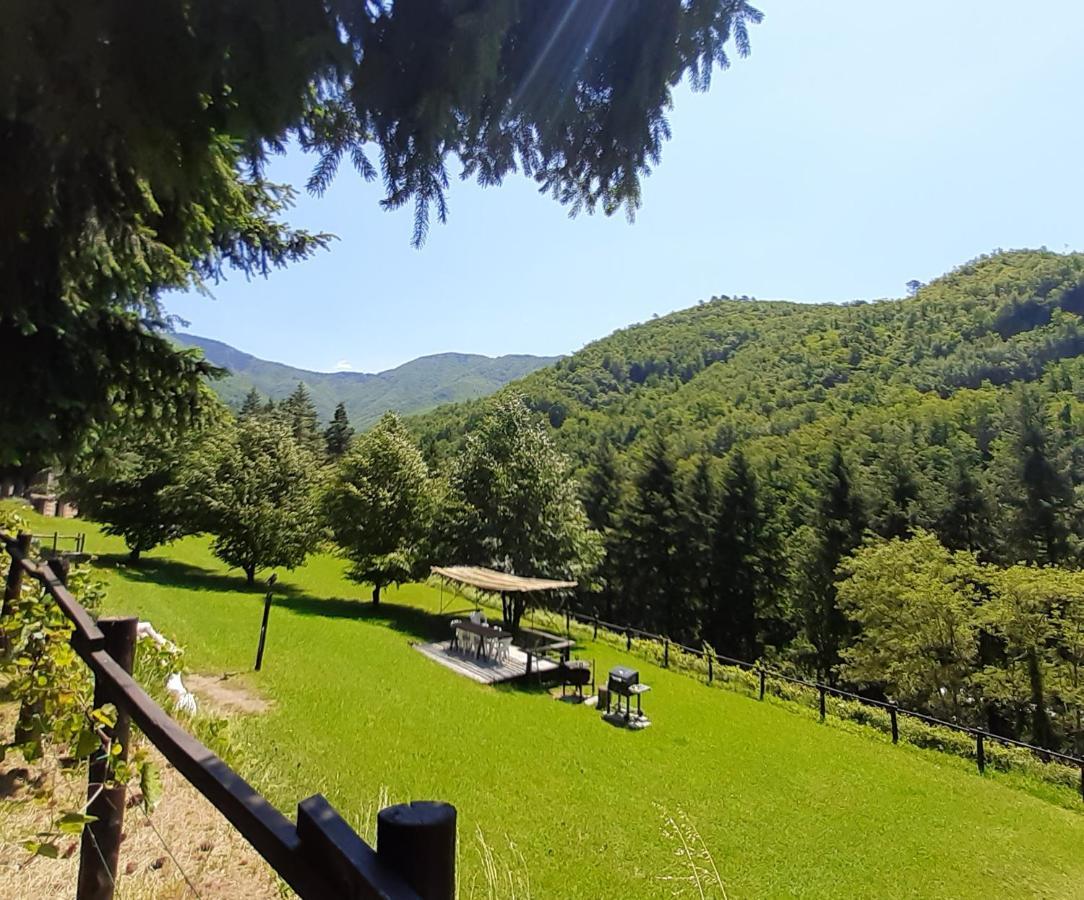 Il Bosco Di Campo Marzano Garden Apartments Borzonasca Ngoại thất bức ảnh