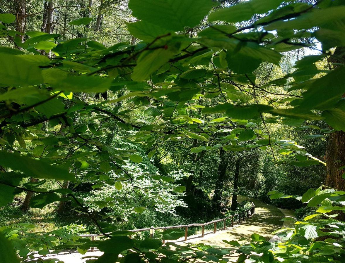 Il Bosco Di Campo Marzano Garden Apartments Borzonasca Ngoại thất bức ảnh