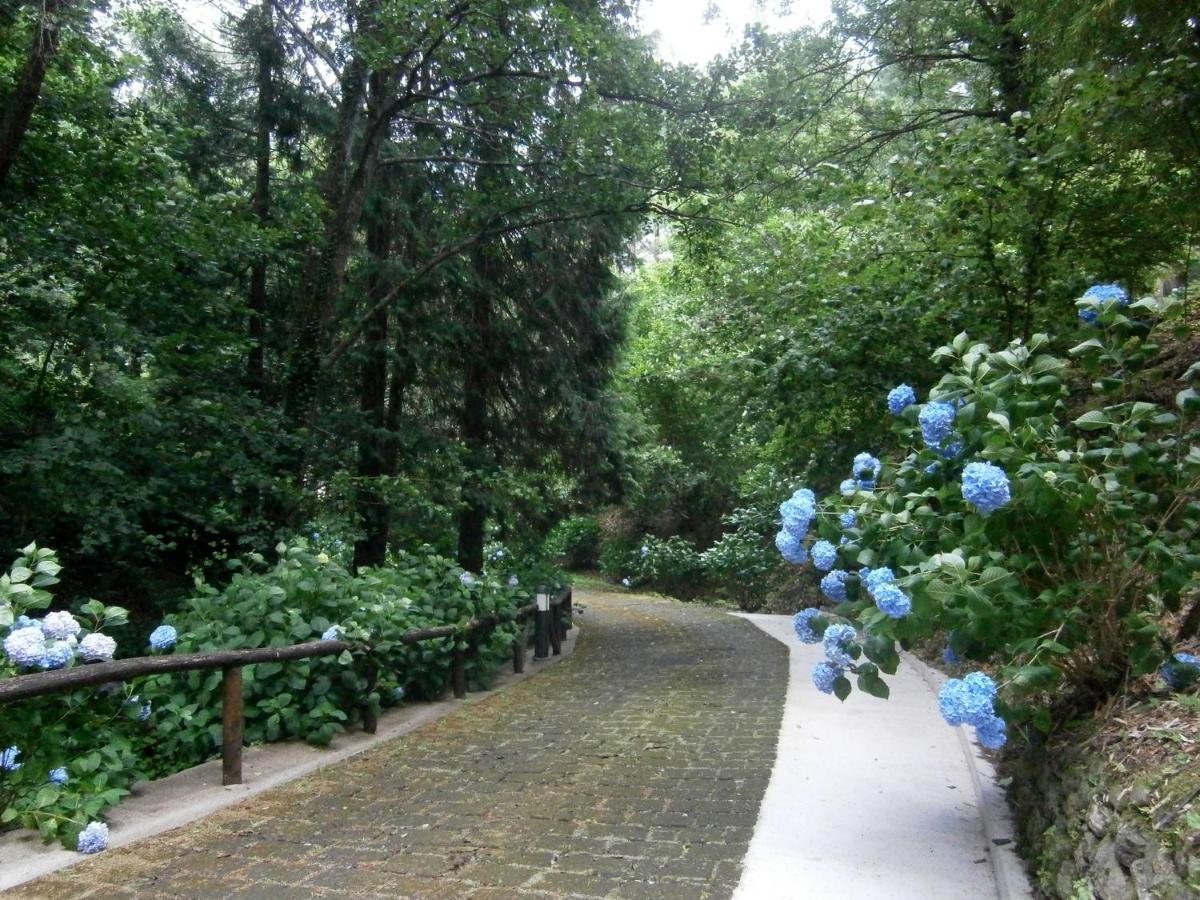 Il Bosco Di Campo Marzano Garden Apartments Borzonasca Ngoại thất bức ảnh